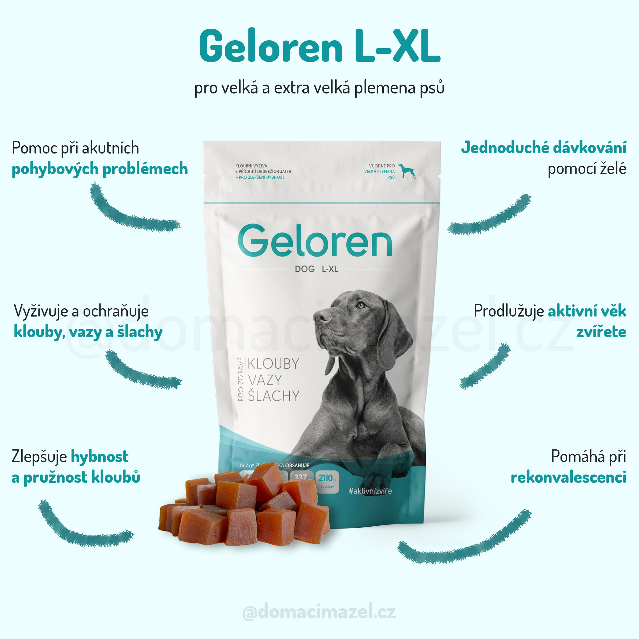 geloren pro psy l xl infografika domacimazel CZ 2